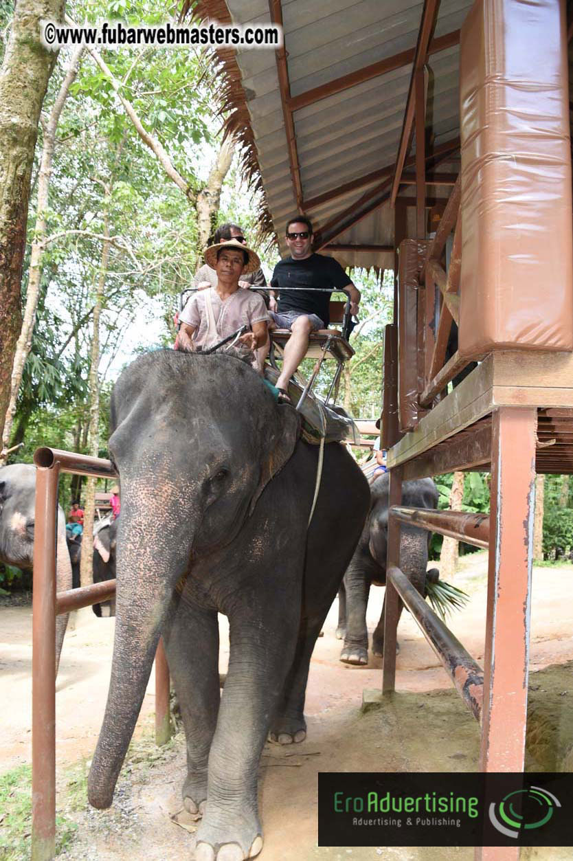 Elephant Safari