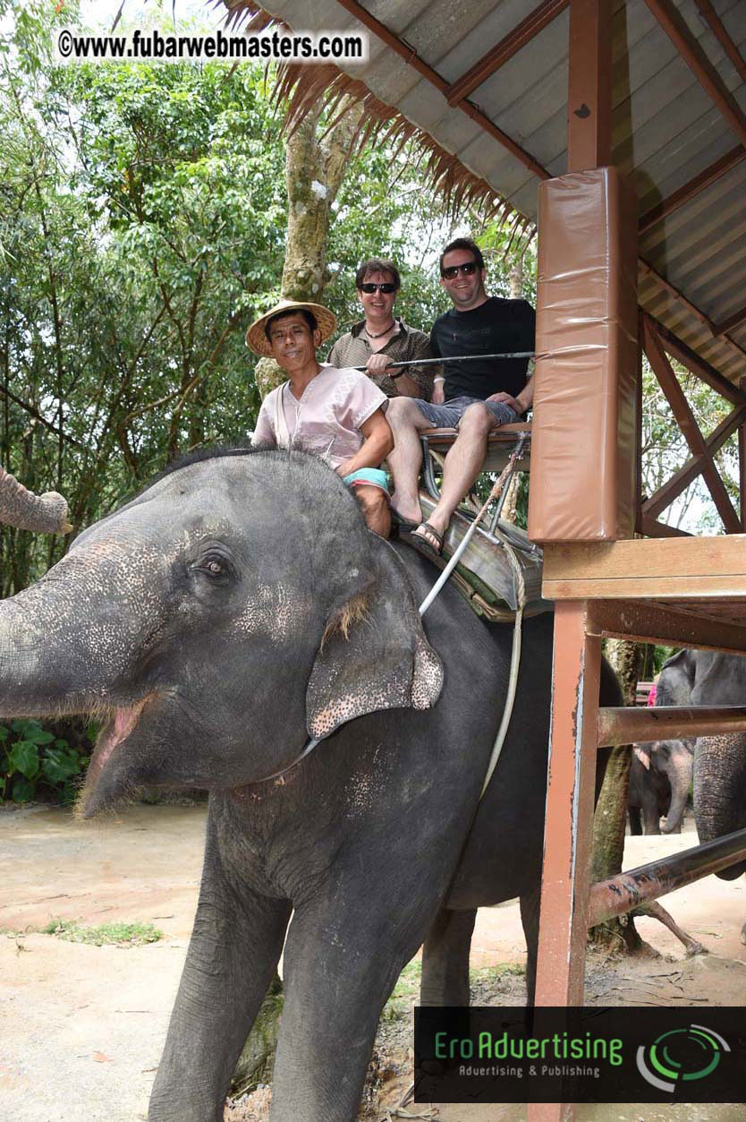 Elephant Safari