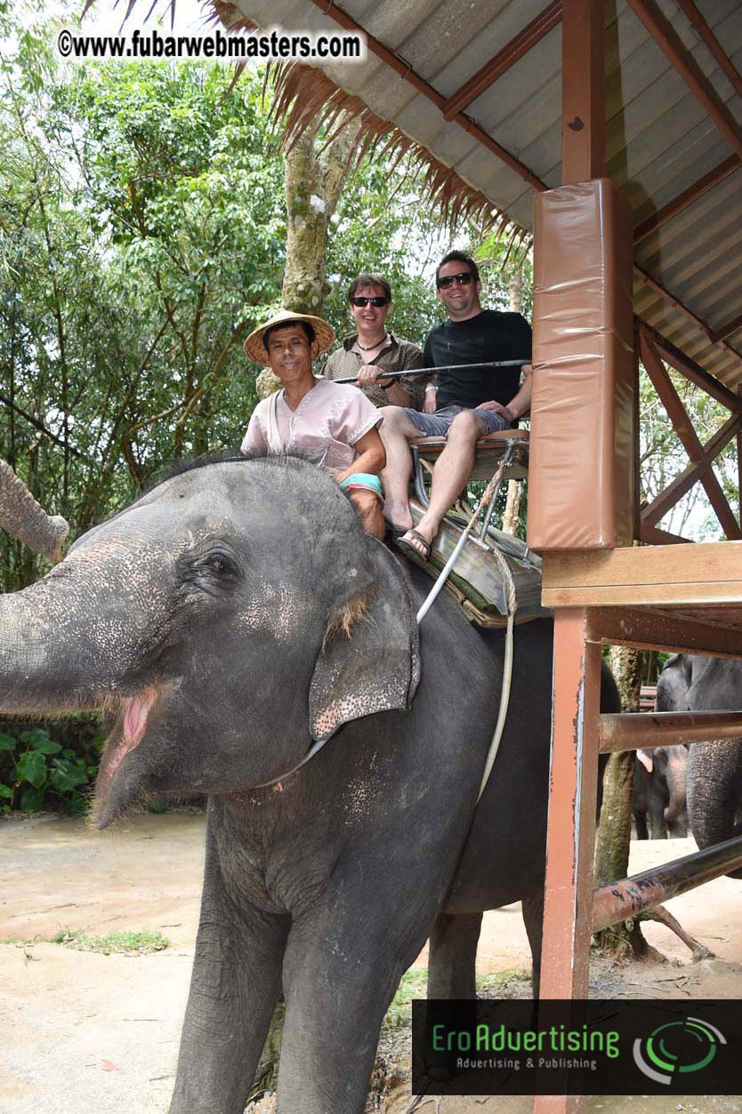 Elephant Safari