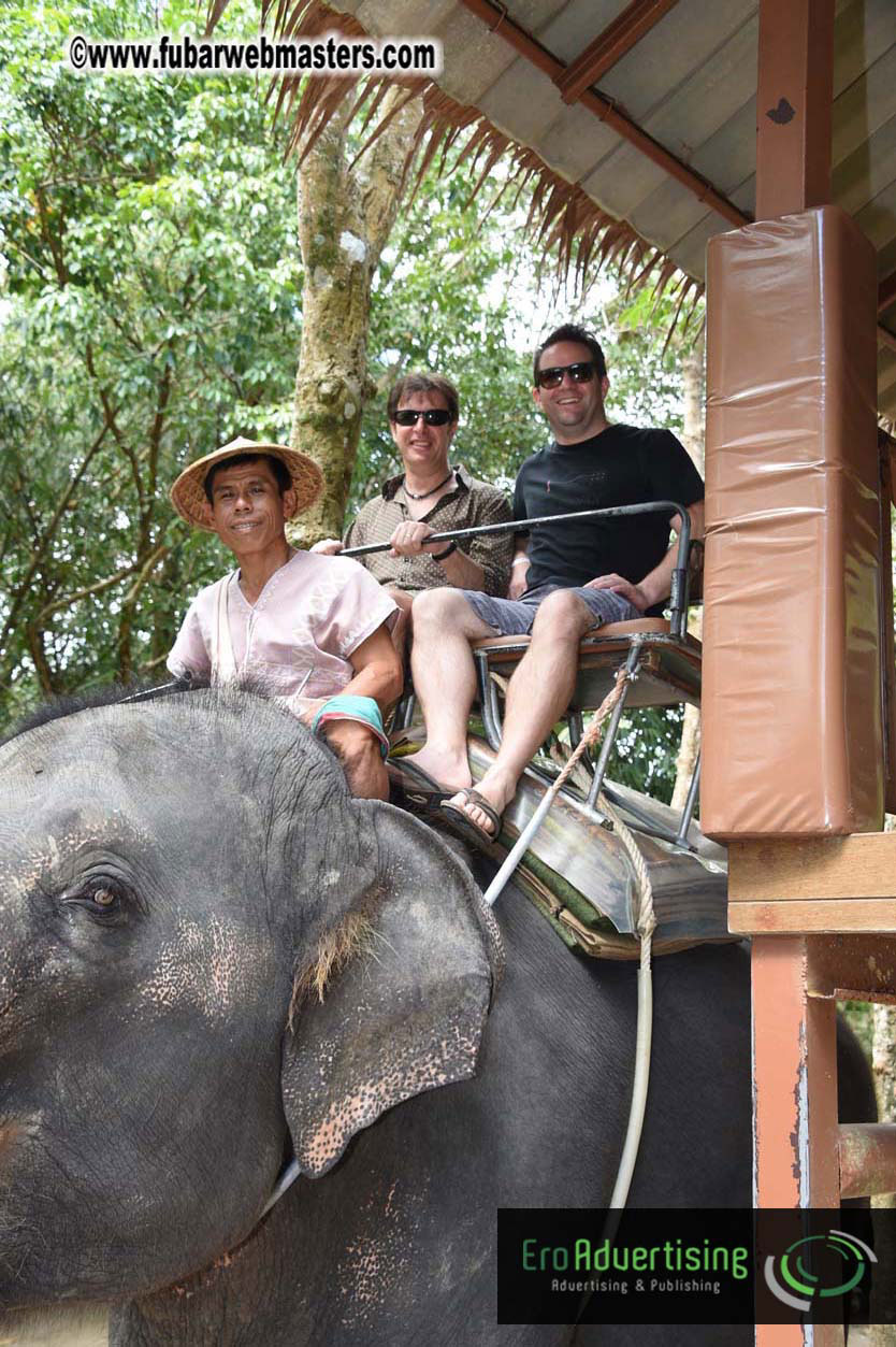 Elephant Safari