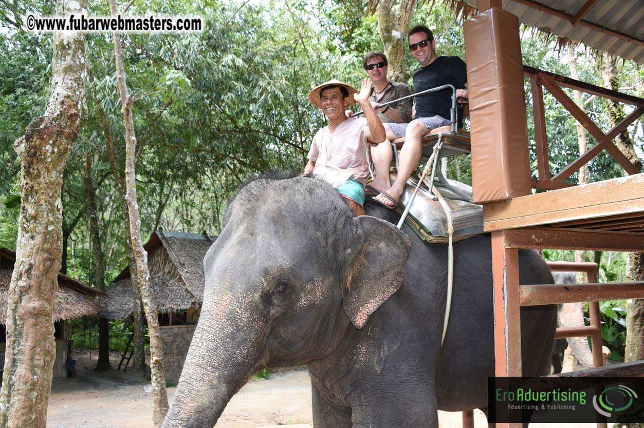 Elephant Safari