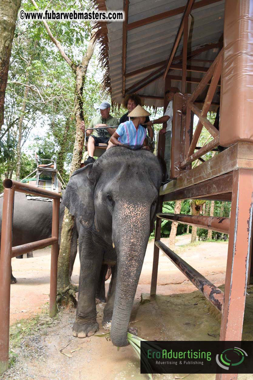 Elephant Safari