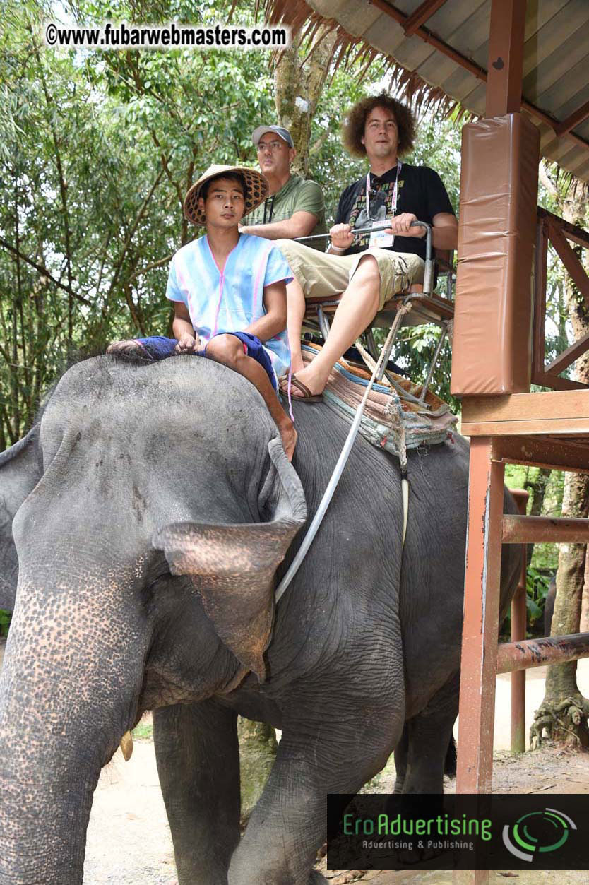 Elephant Safari