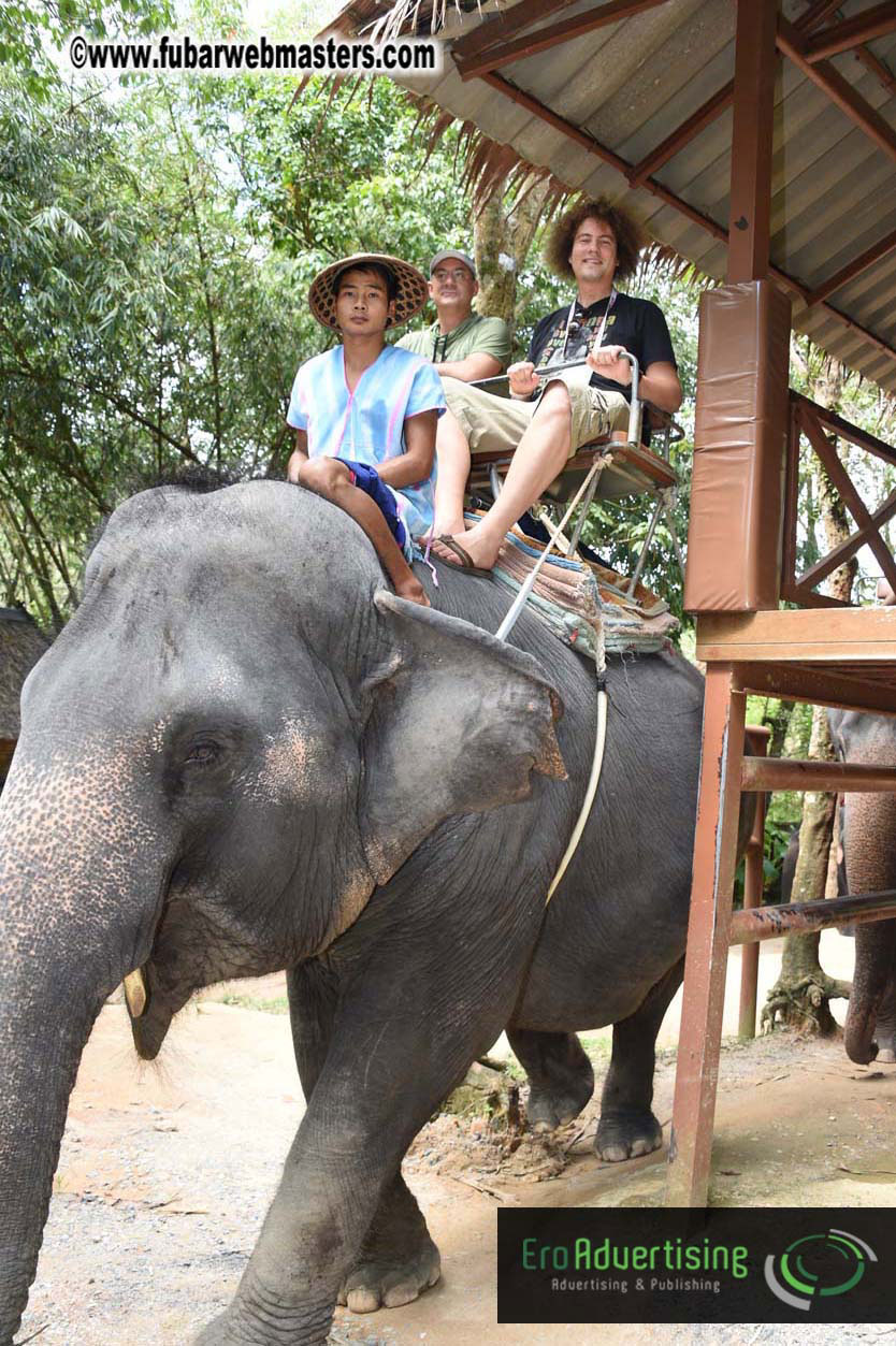 Elephant Safari