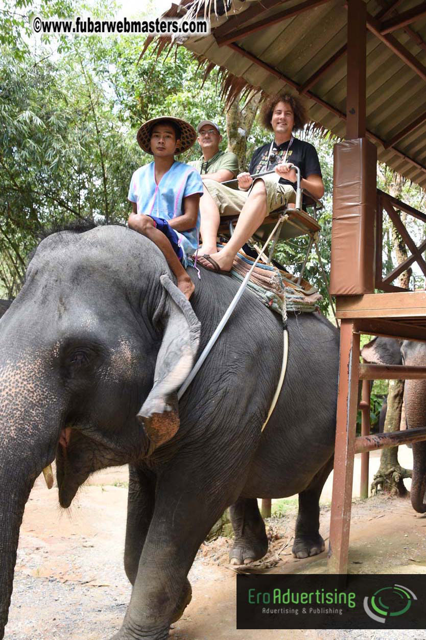 Elephant Safari