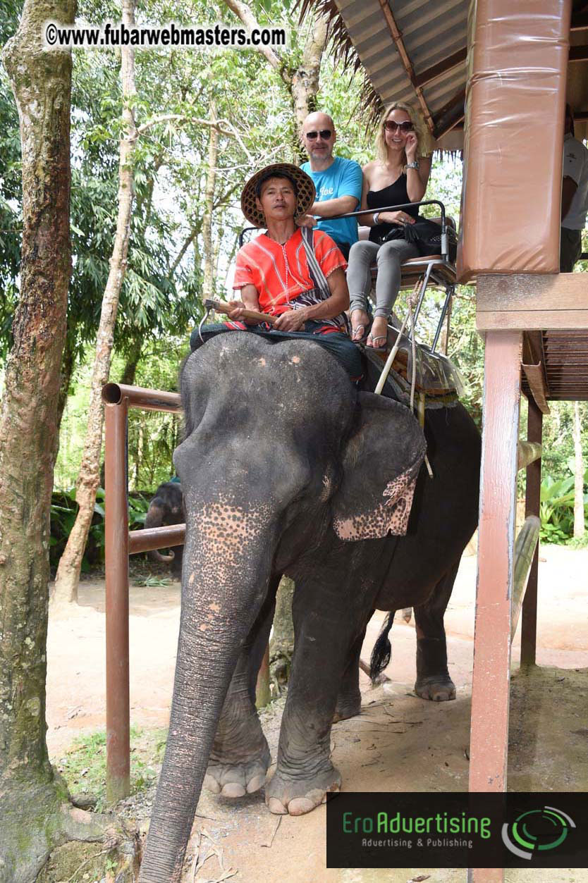 Elephant Safari