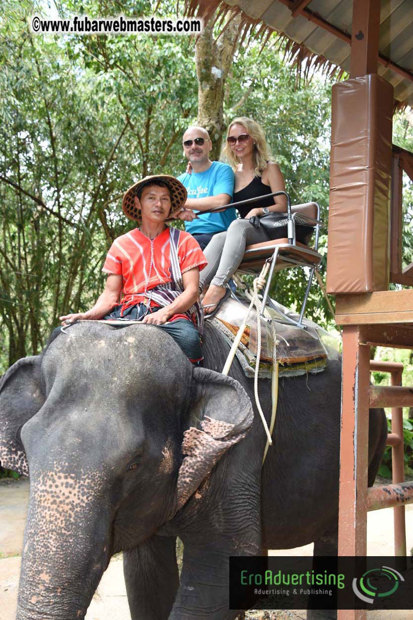 Elephant Safari