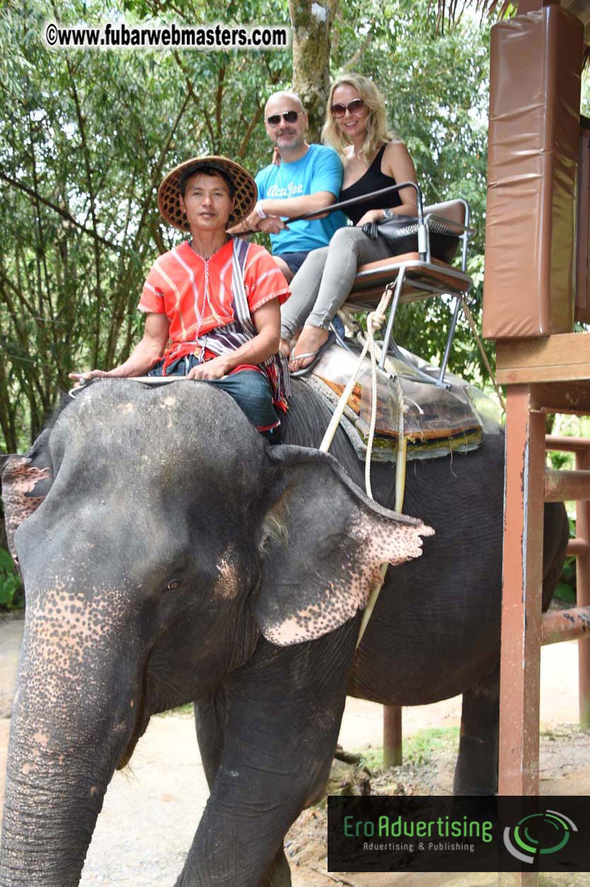 Elephant Safari