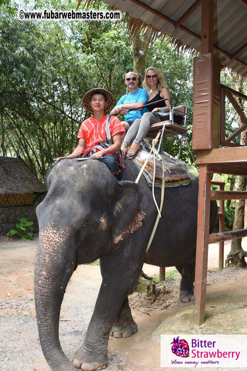 Elephant Safari