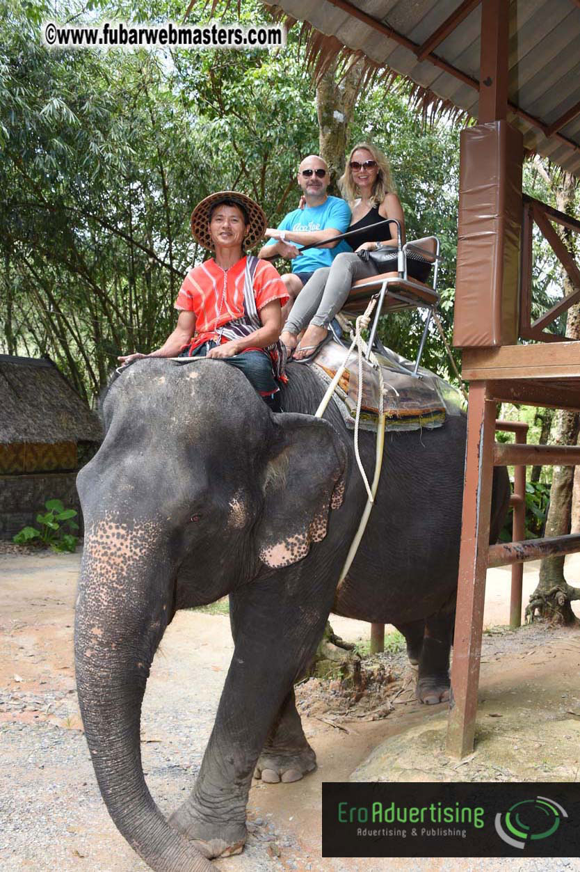 Elephant Safari