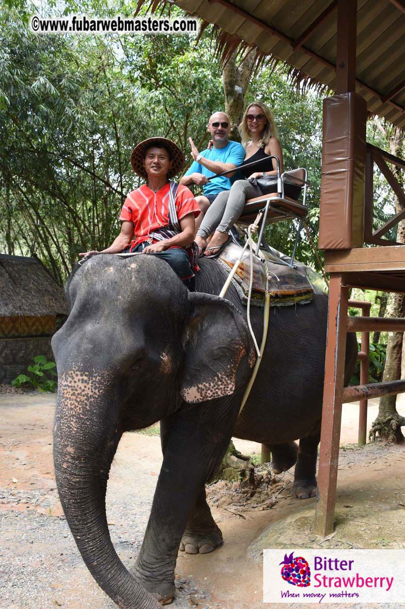 Elephant Safari