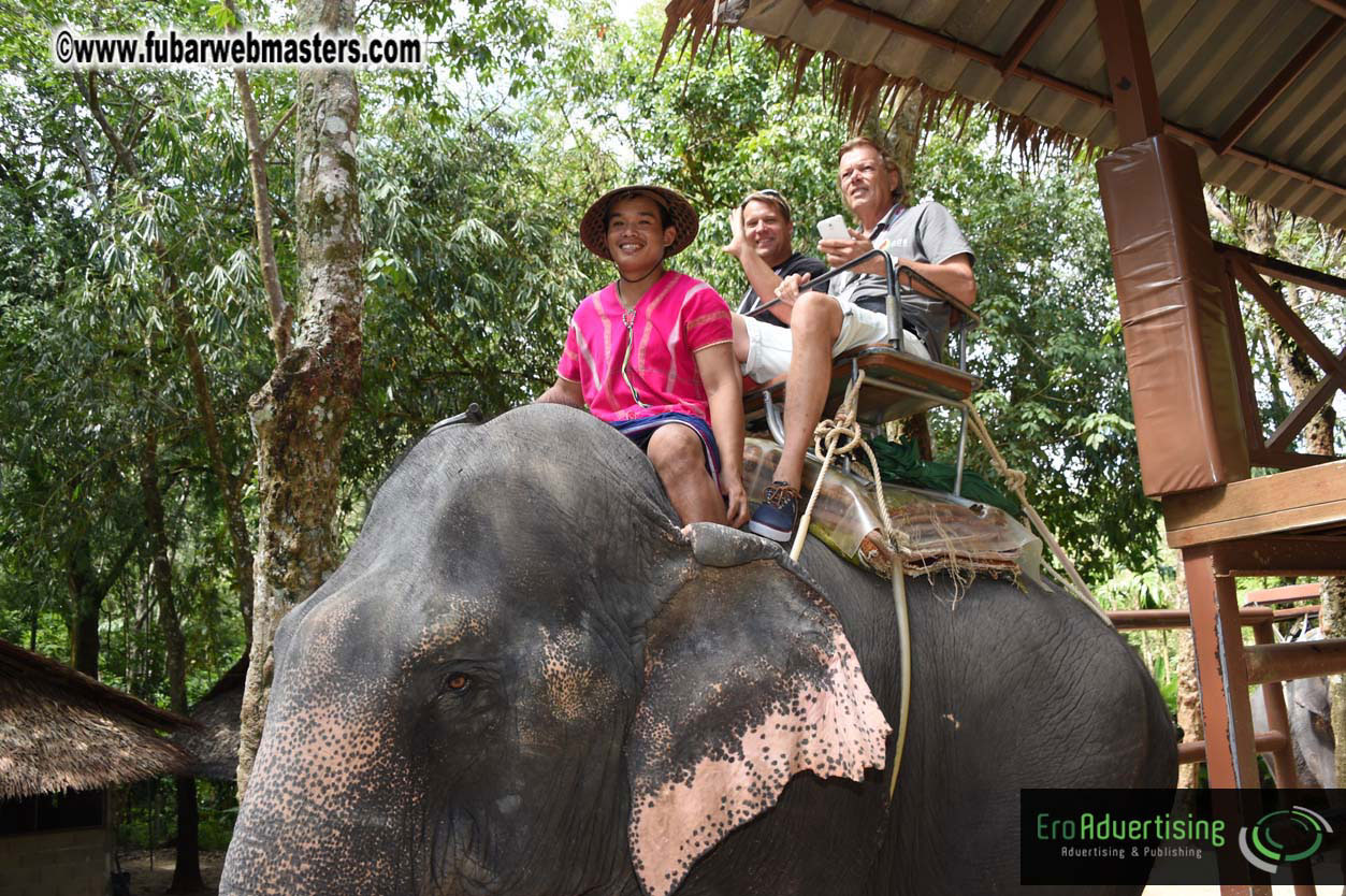 Elephant Safari