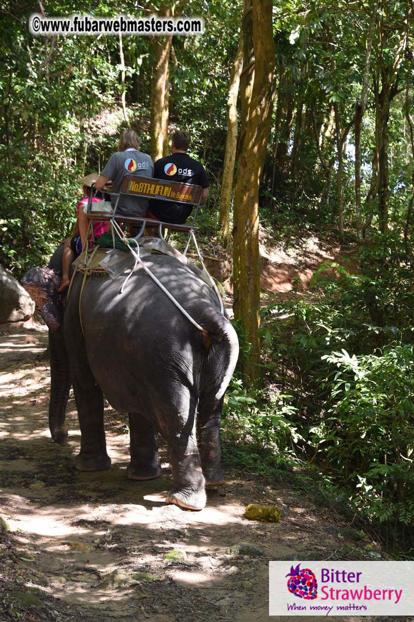 Elephant Safari