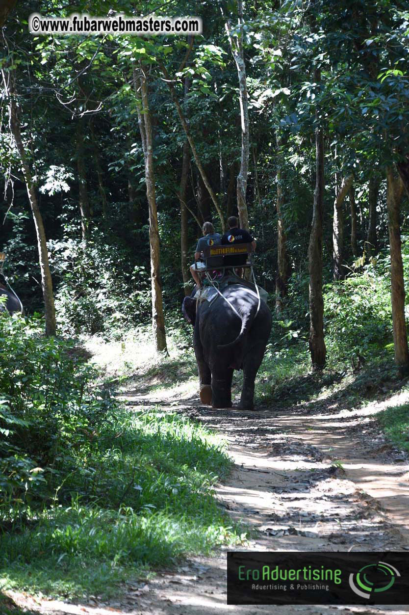 Elephant Safari