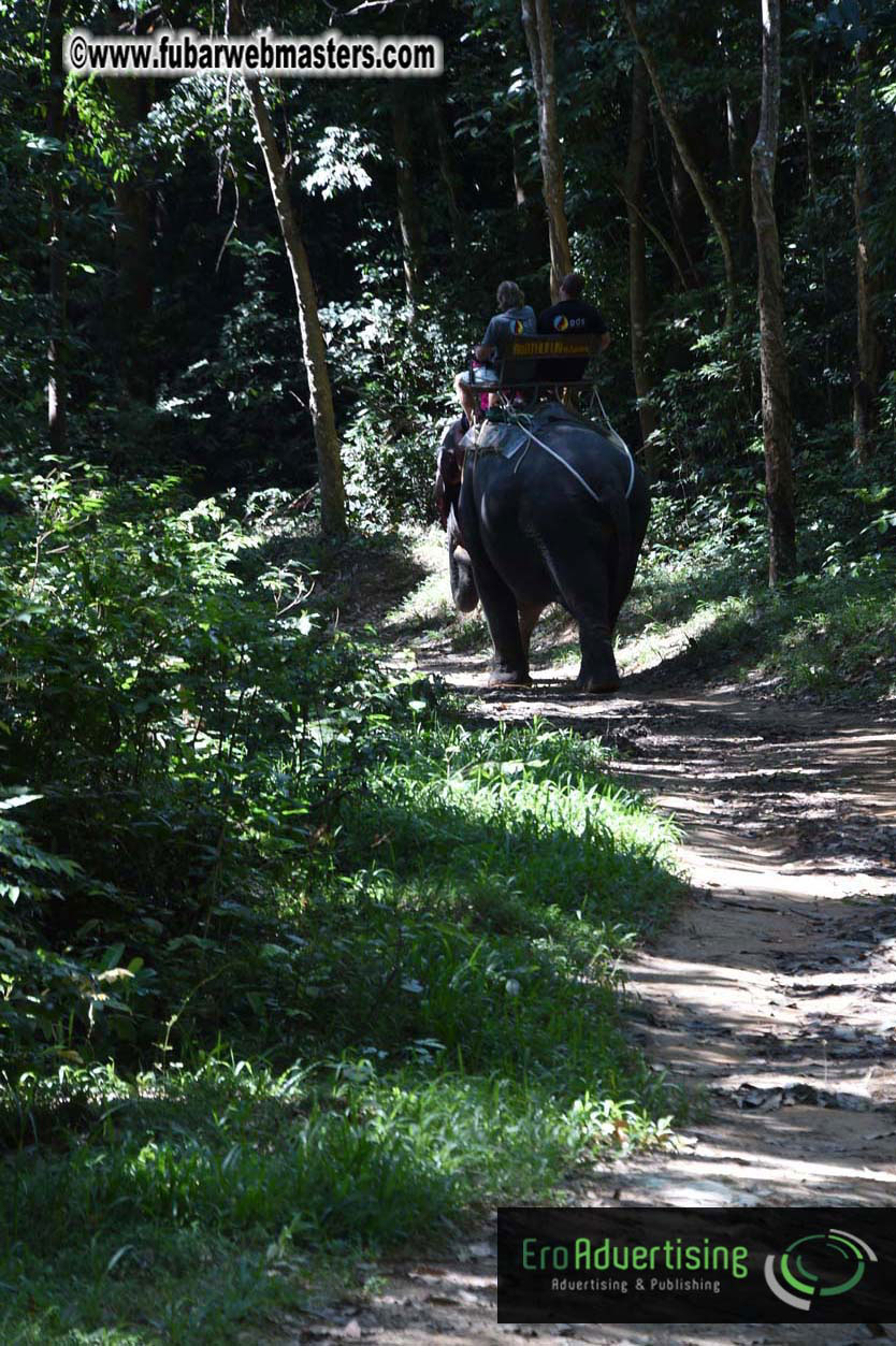 Elephant Safari