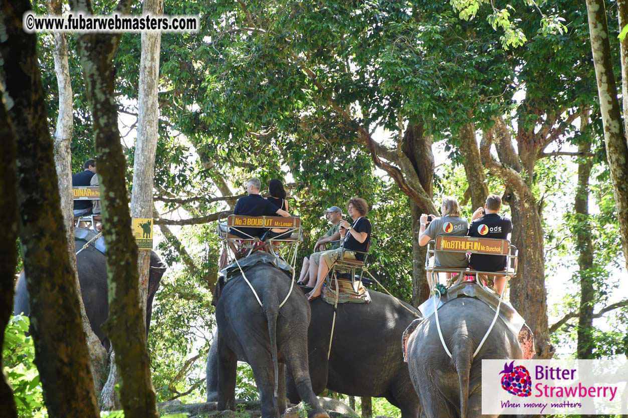 Elephant Safari