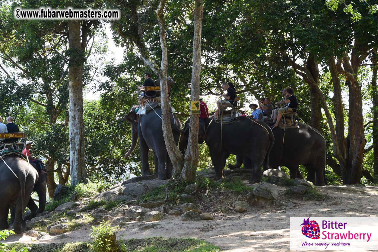 Elephant Safari