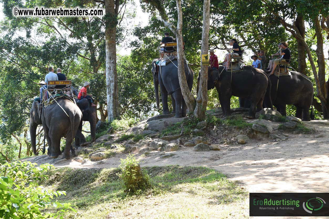 Elephant Safari