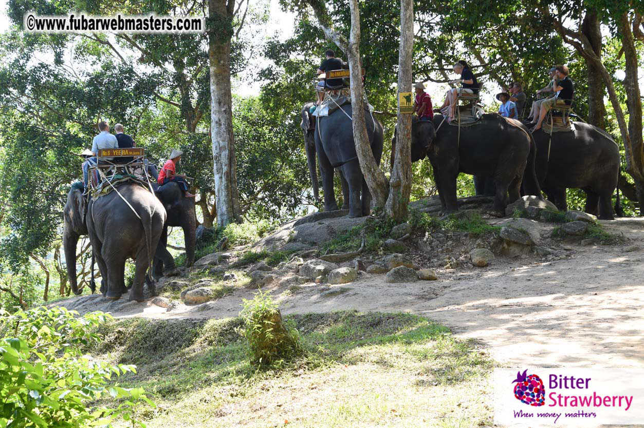 Elephant Safari