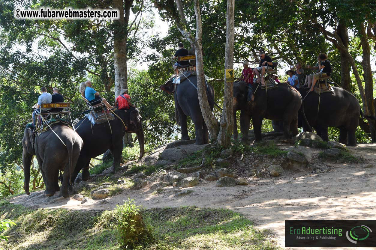 Elephant Safari