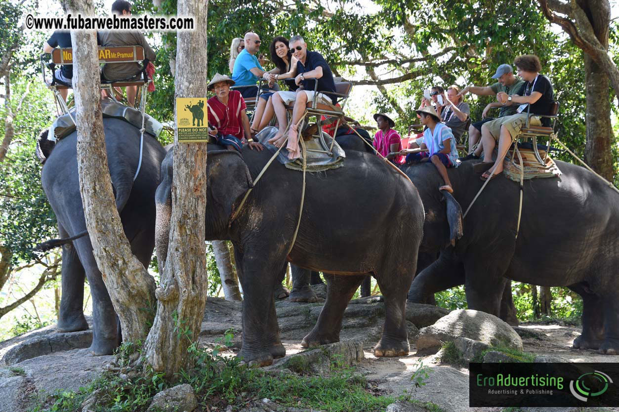 Elephant Safari