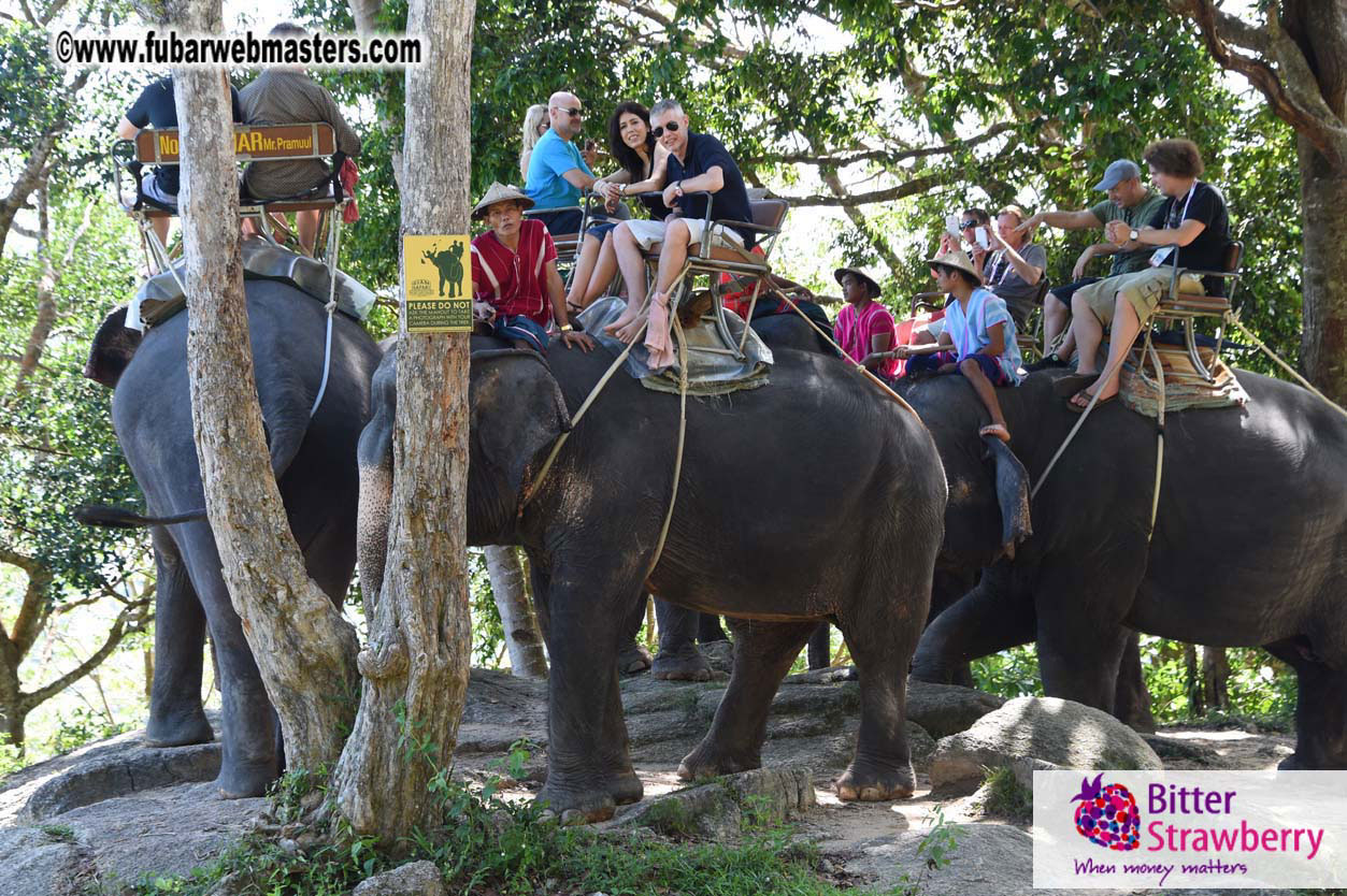 Elephant Safari