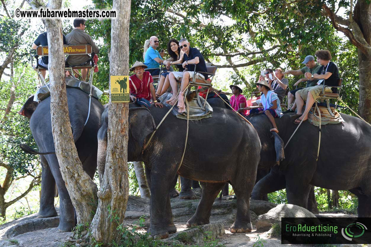 Elephant Safari