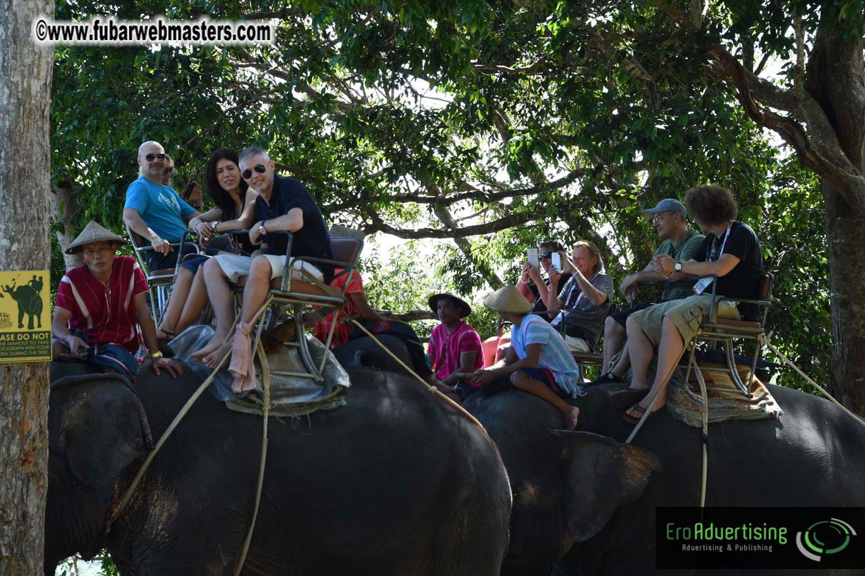 Elephant Safari