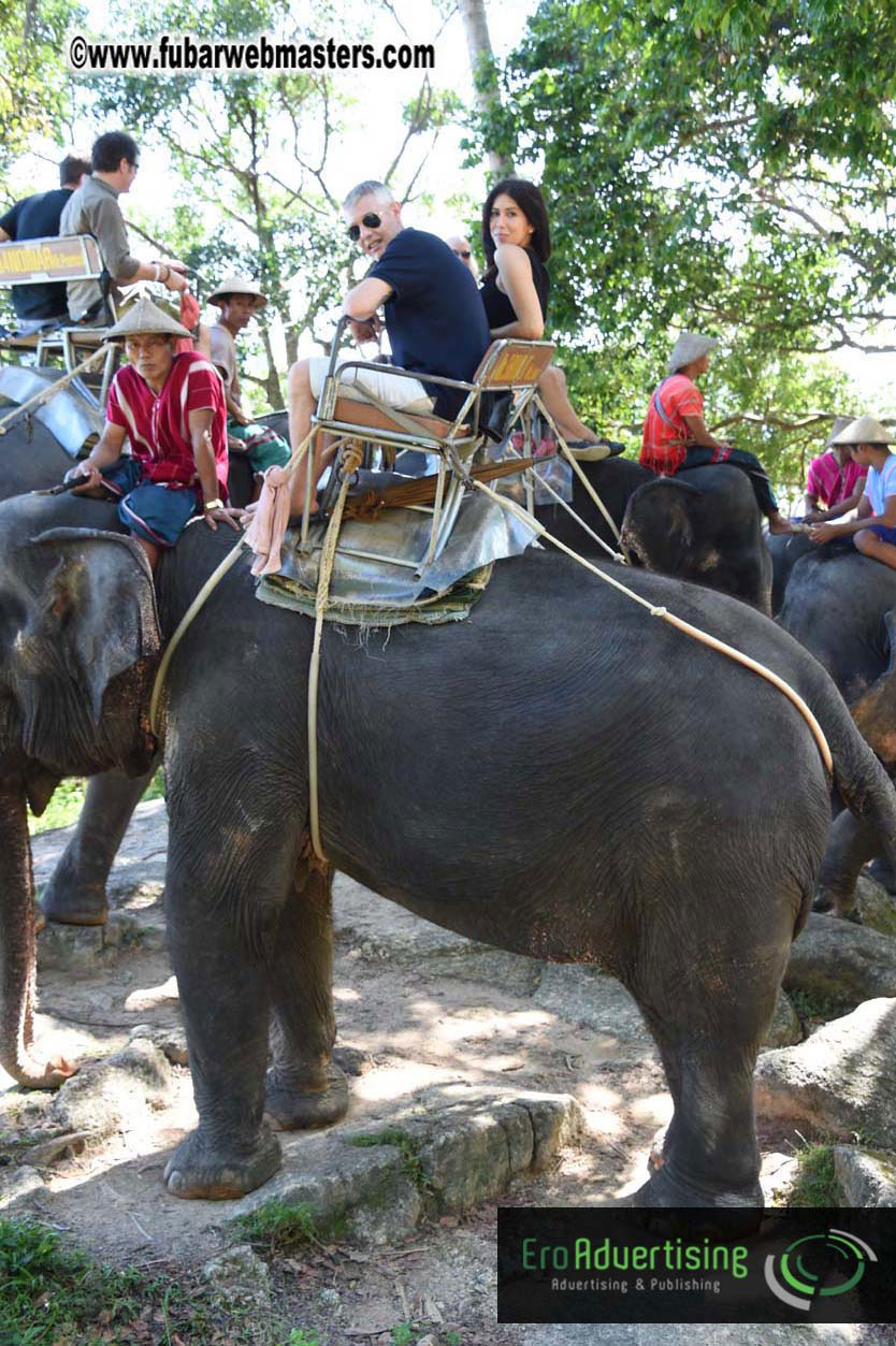 Elephant Safari