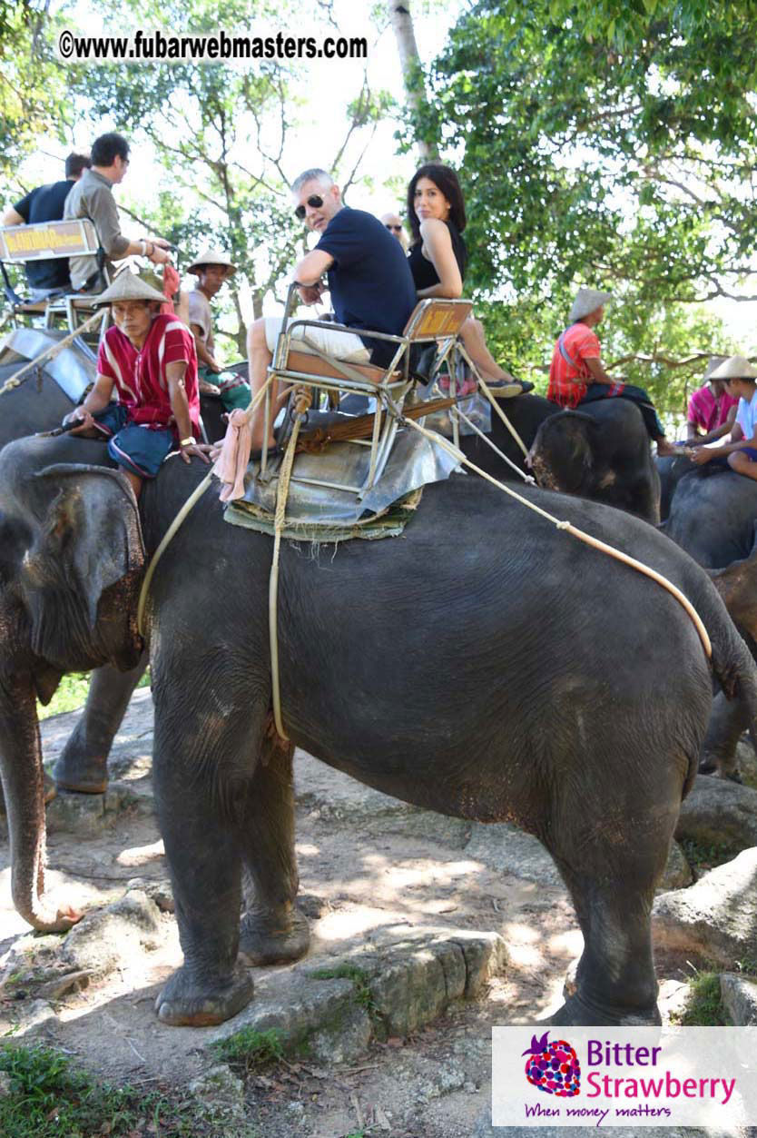 Elephant Safari