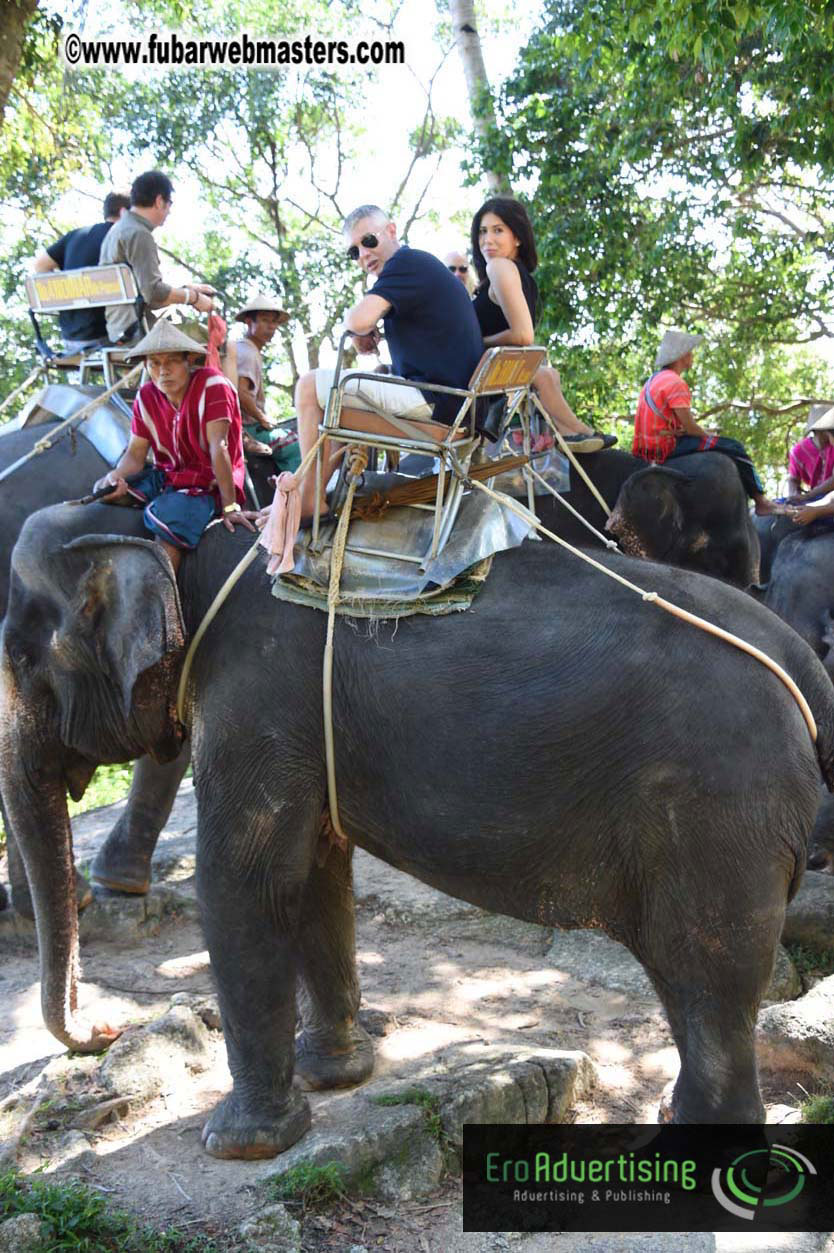 Elephant Safari