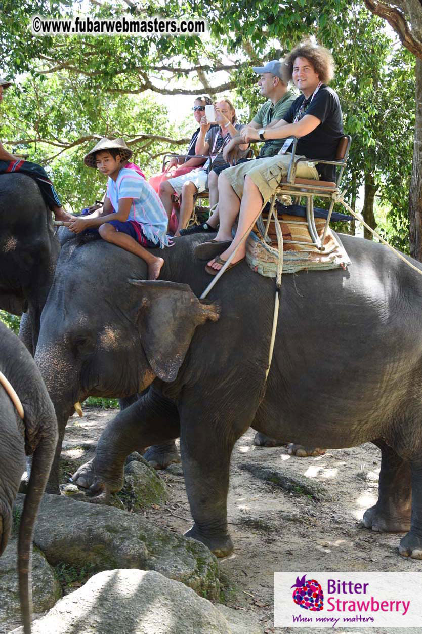 Elephant Safari