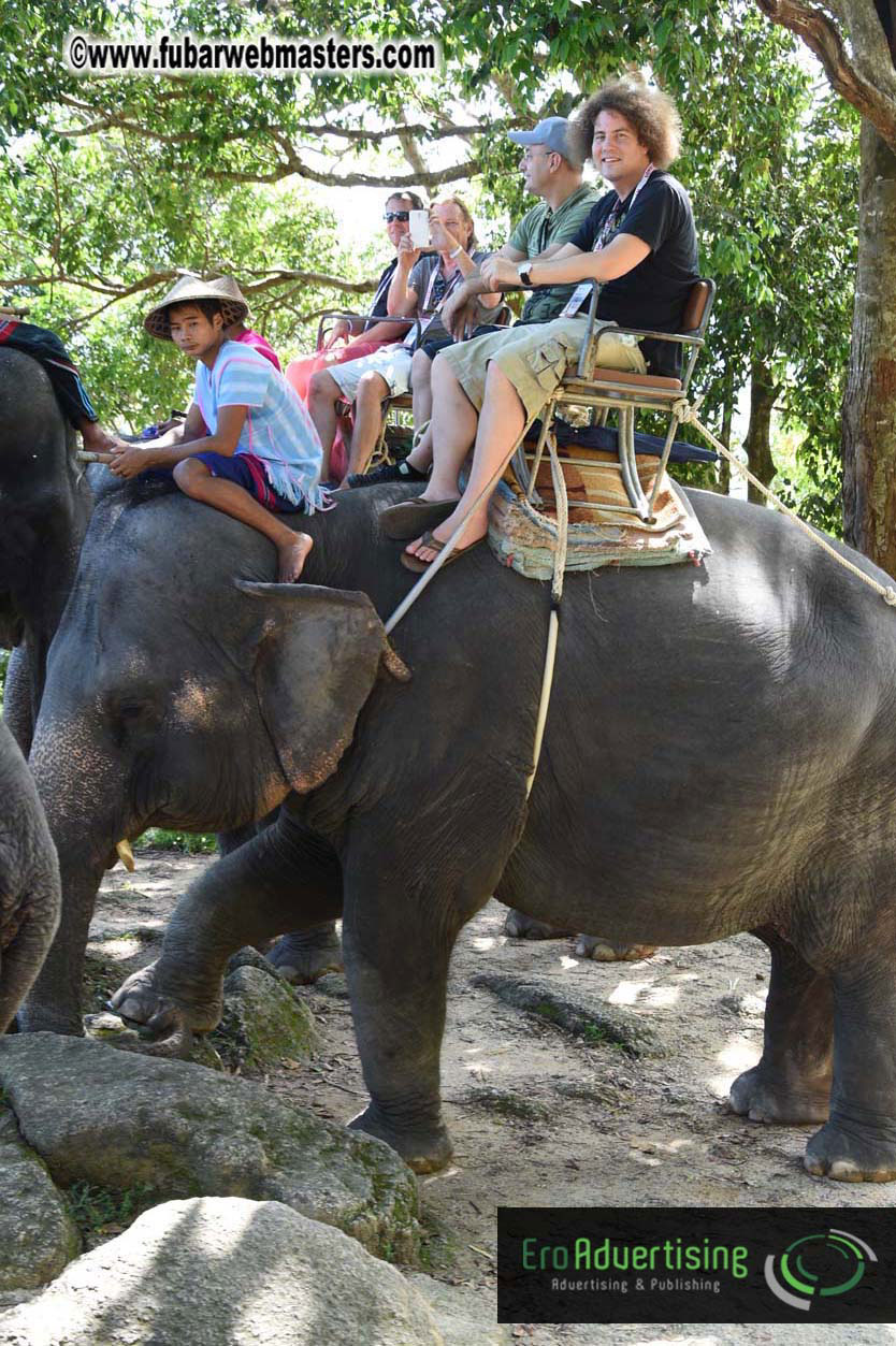 Elephant Safari