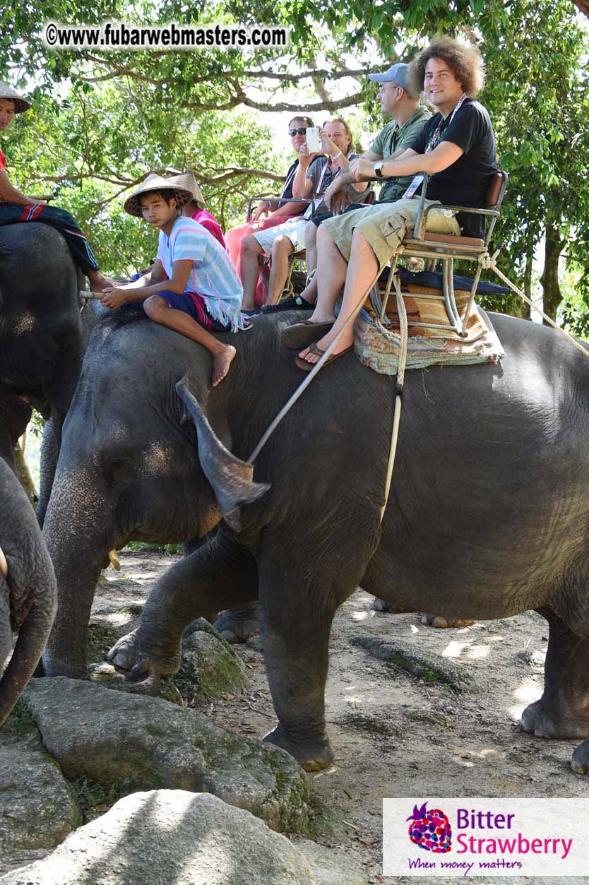 Elephant Safari