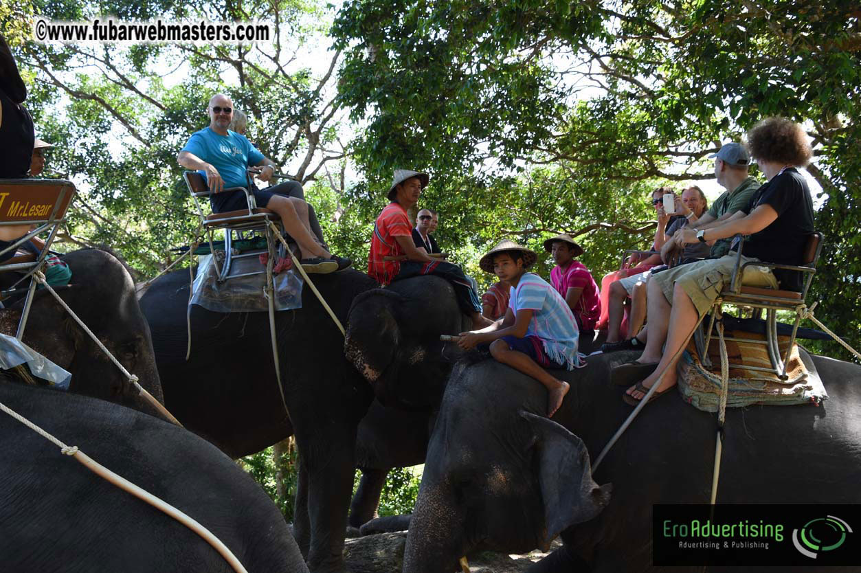 Elephant Safari