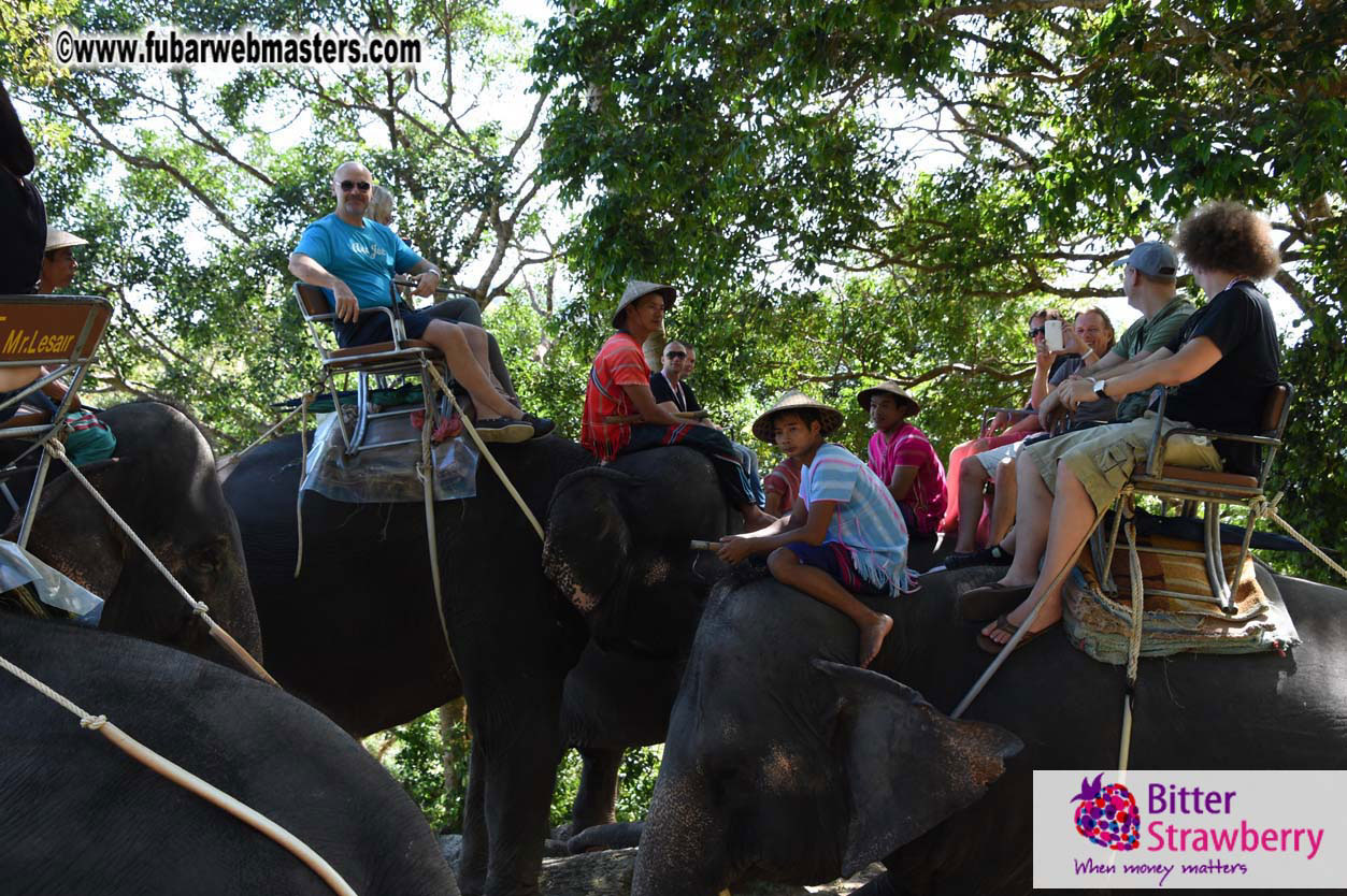 Elephant Safari