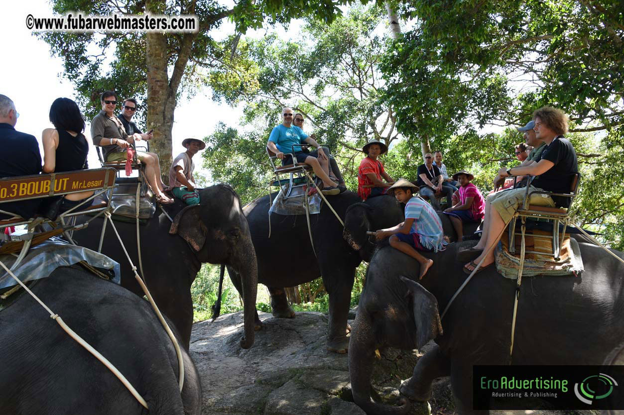 Elephant Safari