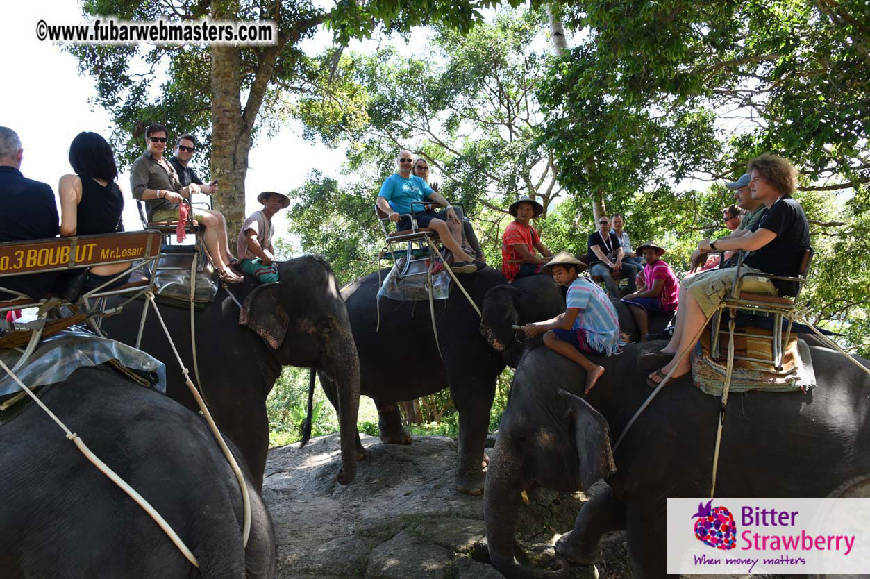 Elephant Safari