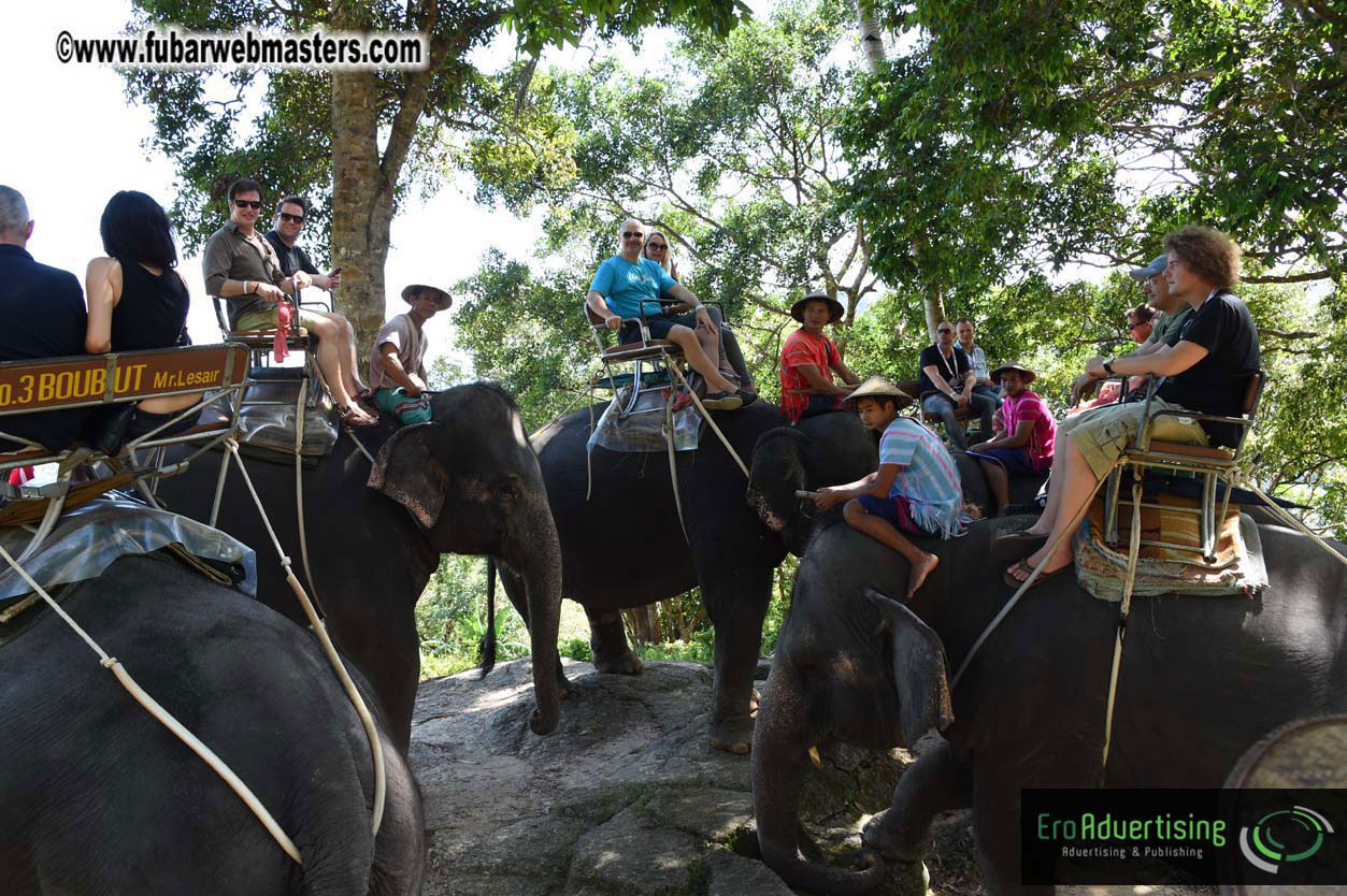 Elephant Safari