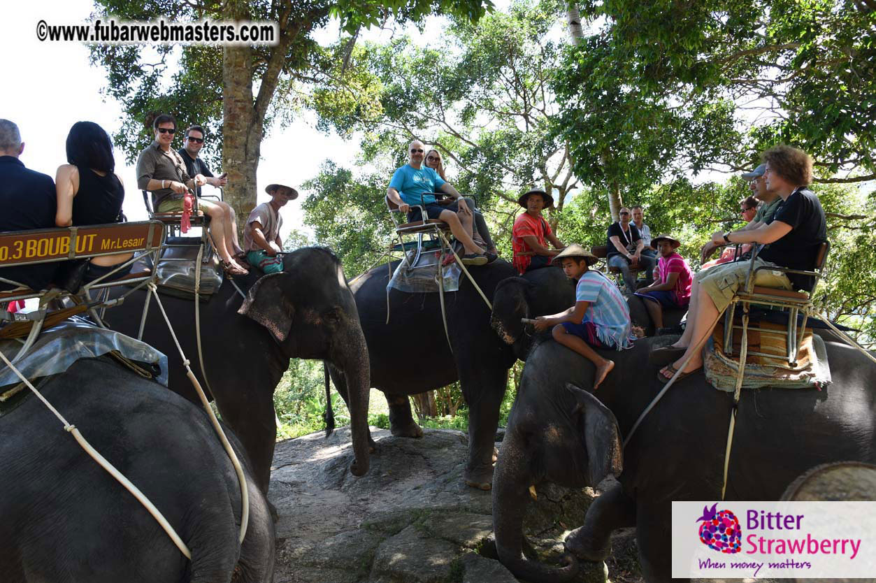 Elephant Safari