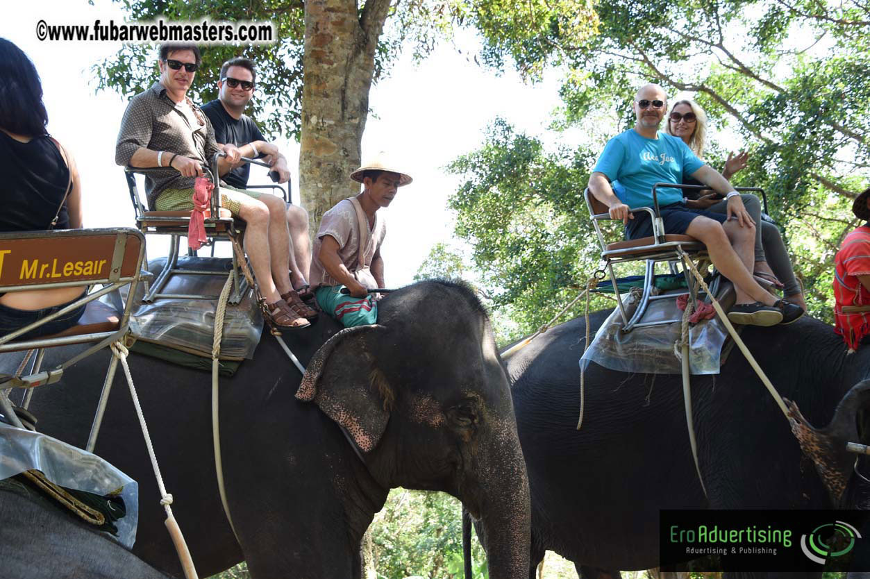 Elephant Safari