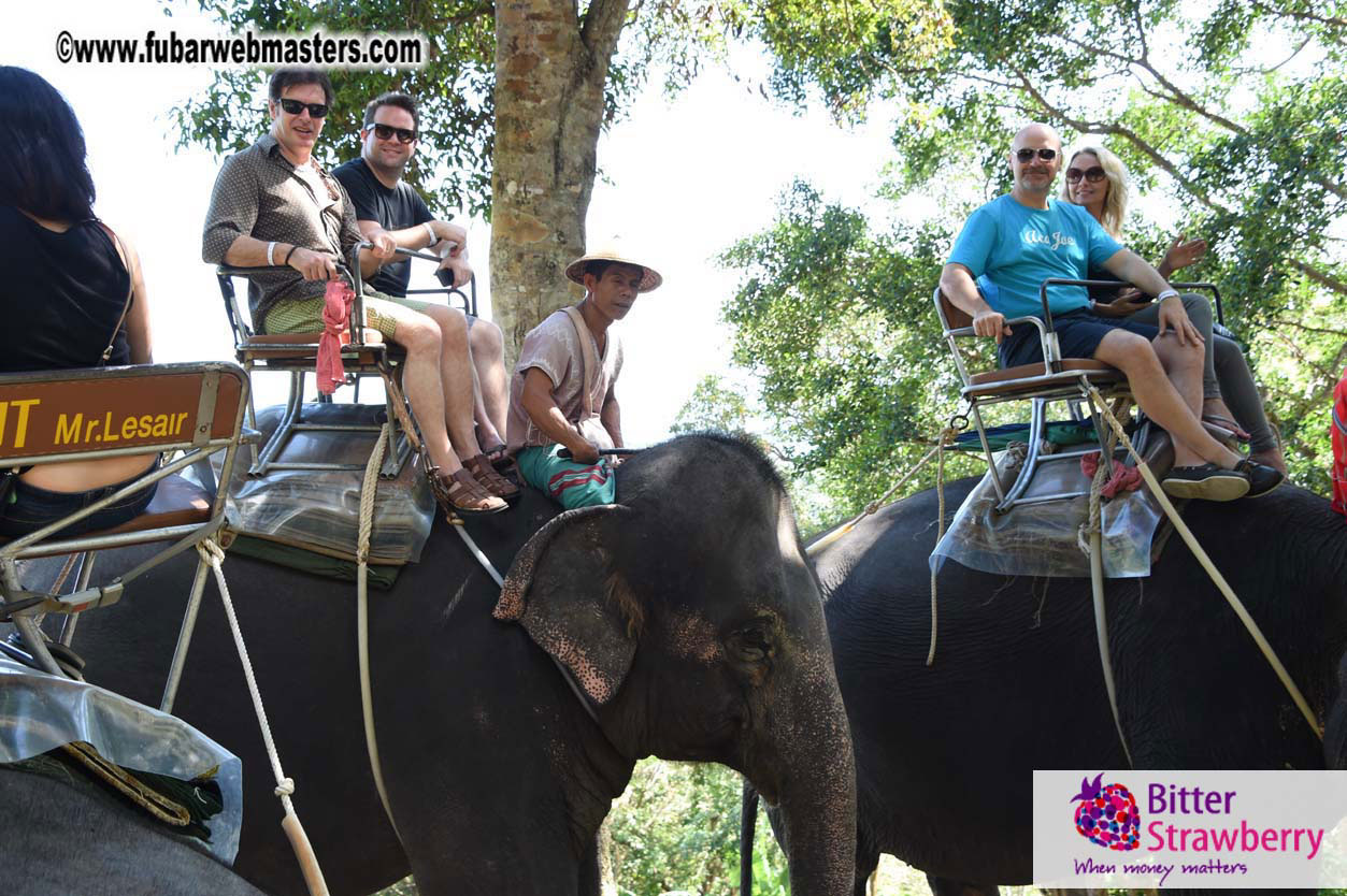 Elephant Safari