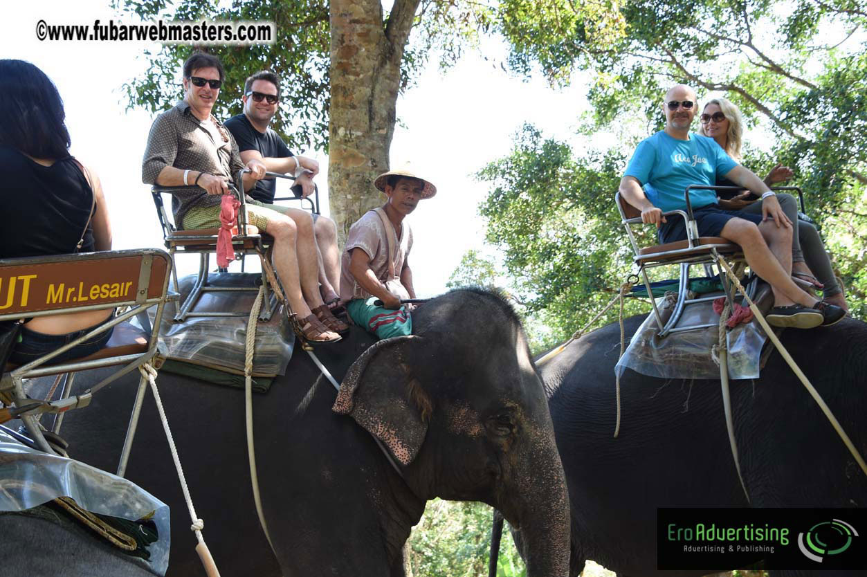 Elephant Safari