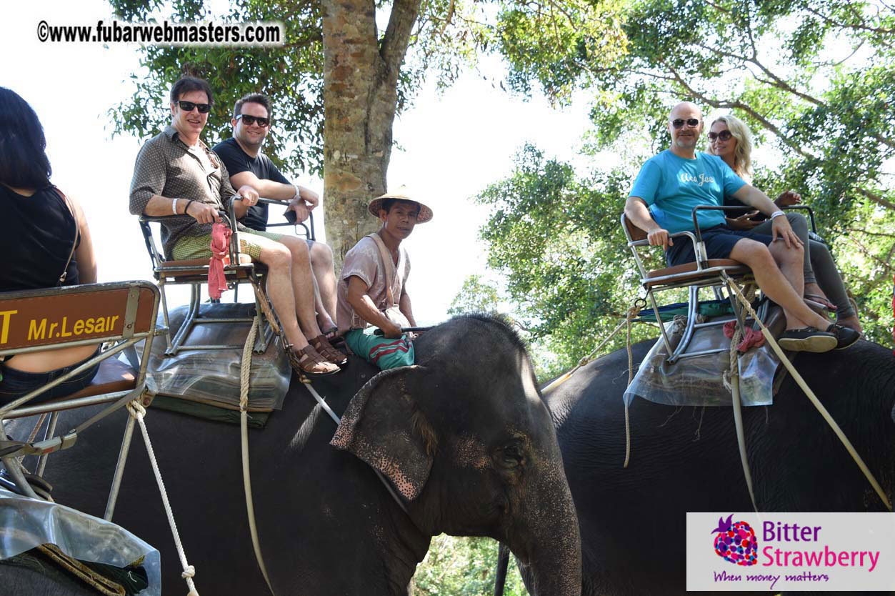 Elephant Safari