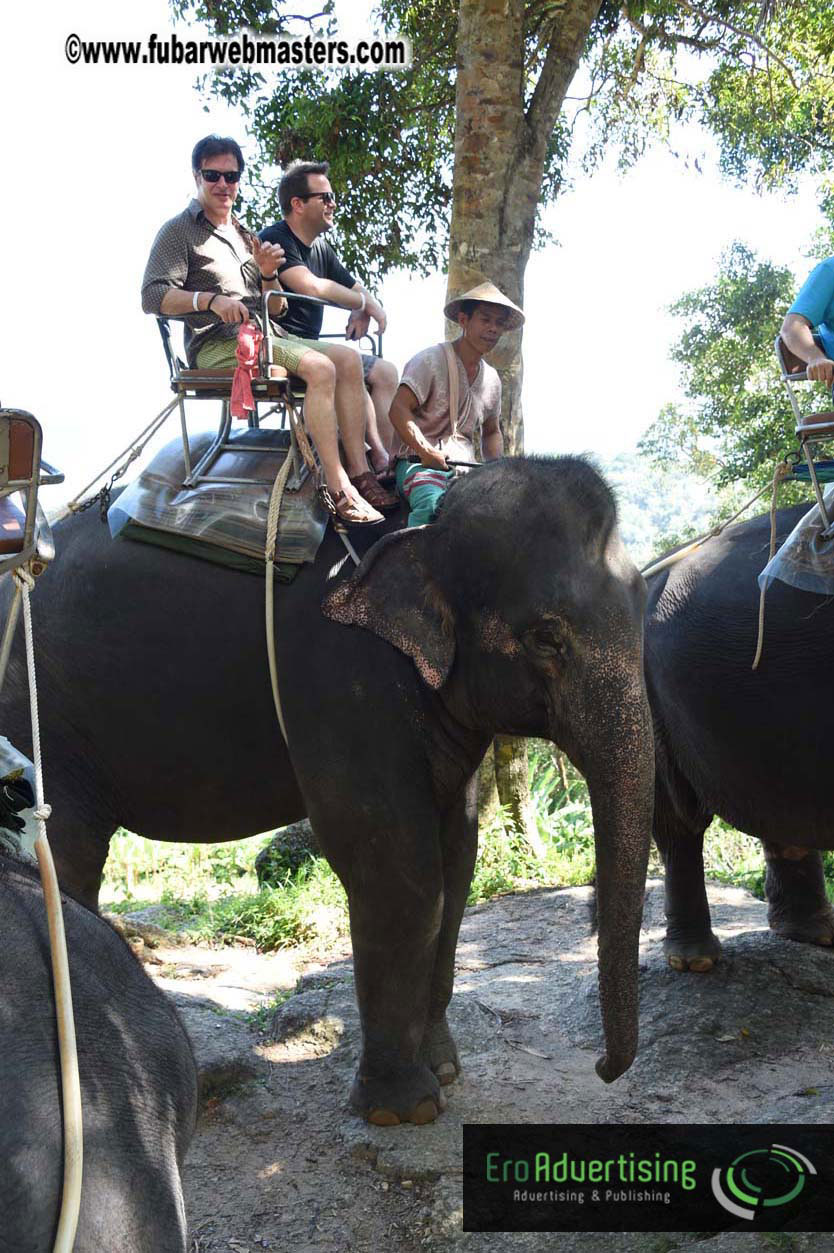 Elephant Safari