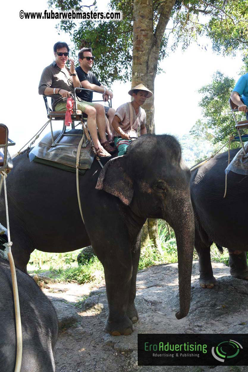 Elephant Safari