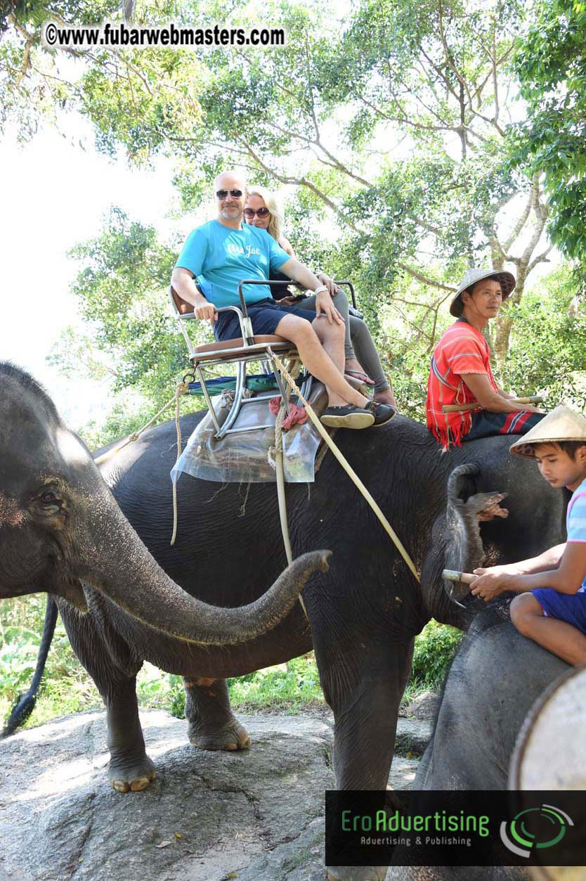 Elephant Safari