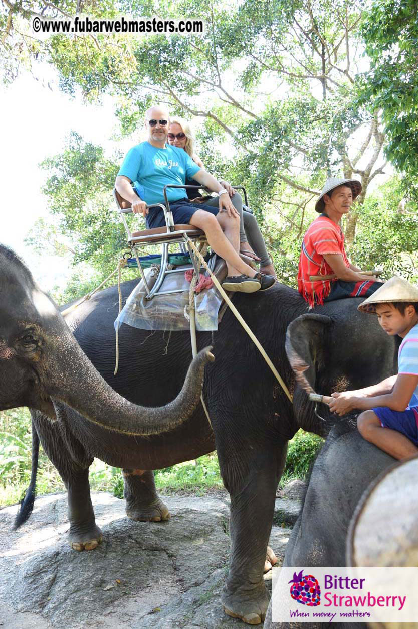 Elephant Safari