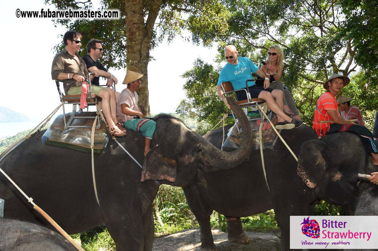 Elephant Safari