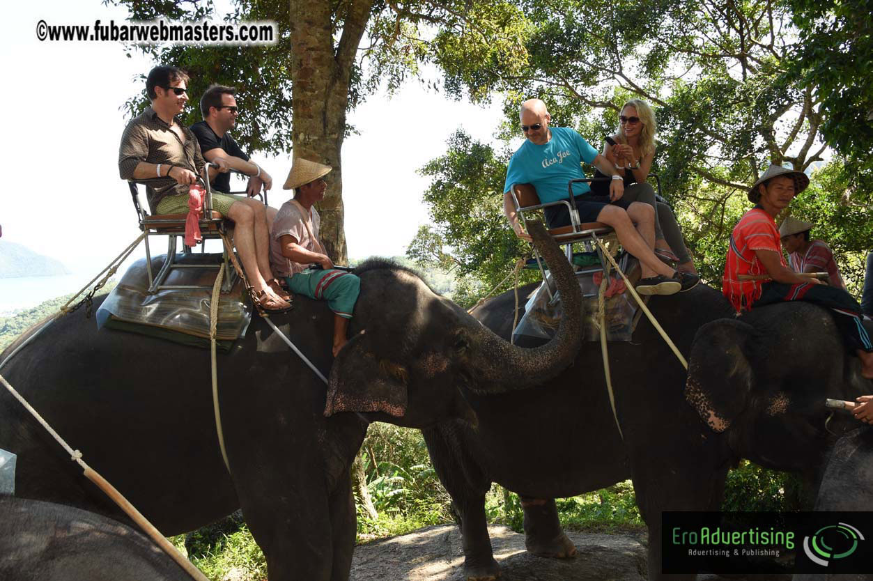 Elephant Safari